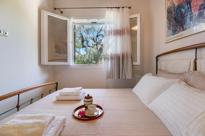 Poly'S Villa Lefkada Apolpaina 外观 照片